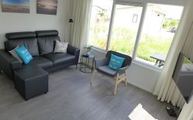 Texel Chalet Helmgras